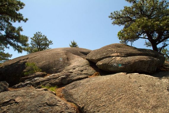 A trail with open rock slabs and a lone tree.