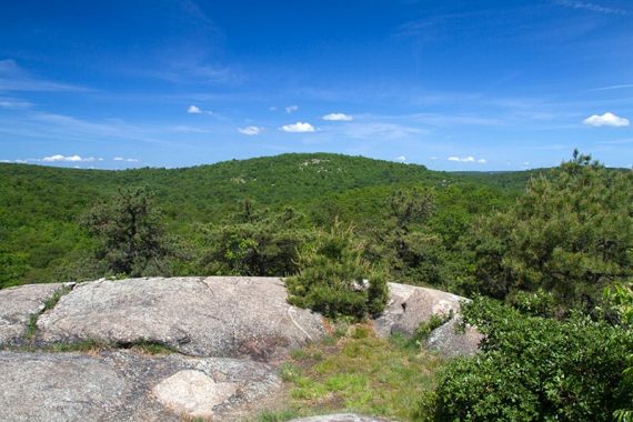 Green covered hills seen from High Point.