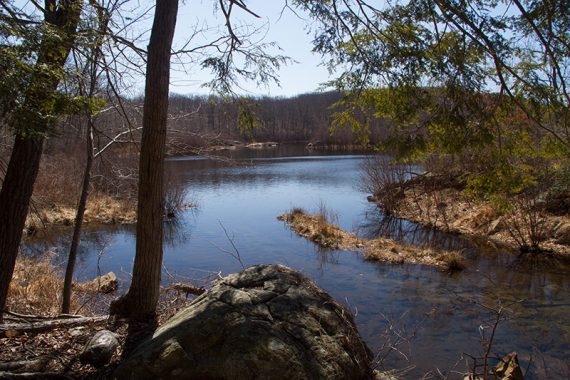 Along the RED trail