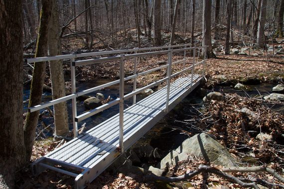 Bridge on the RED trail