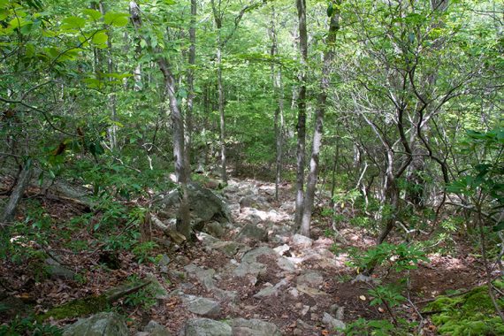 Rocky descent on the RED with WHITE STRIPE trail.