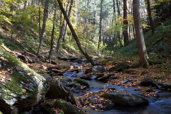 Van Campens Glen stream with fall foliage.