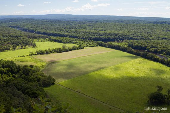 Light yellow-green fields with forests in the distance.