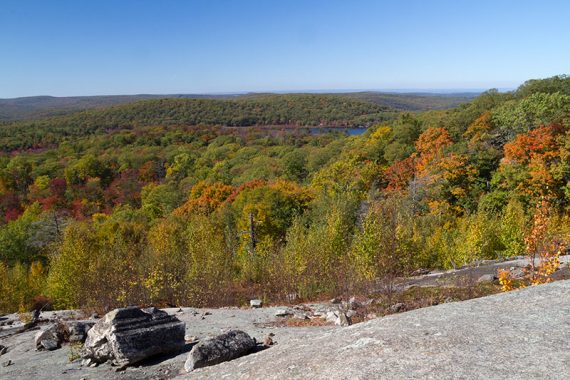 View from the Lichen Trail over Island Pond