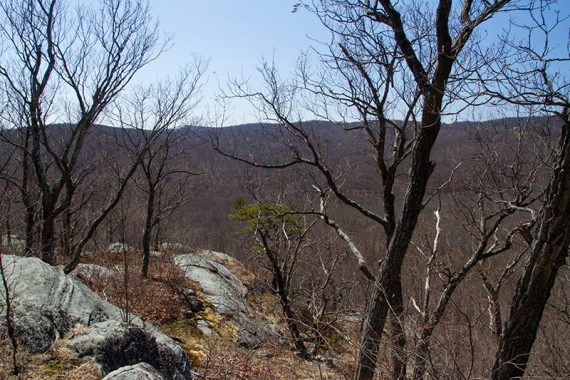 Viewpoint on the GREEN trail