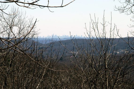 Glimpse of NYC on GREEN