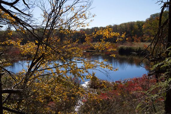 Green Pond visible beyond trees.