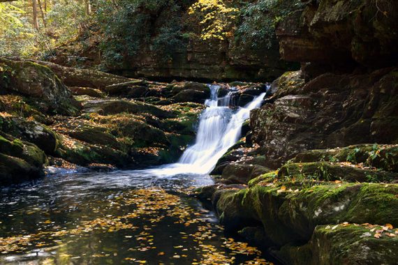 Waterfall cascading over rocks covered with moss and leaves.