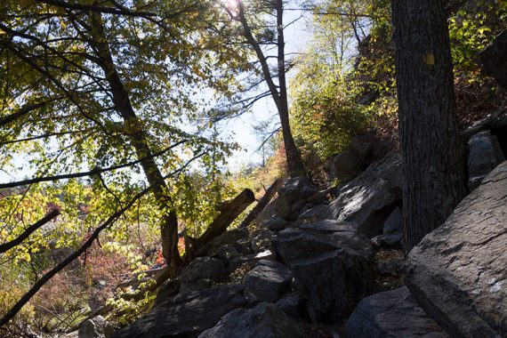 Dunning trail is very rocky at the edge of Green Pond.