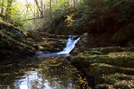 Waterfall into a pool of water along a stream.