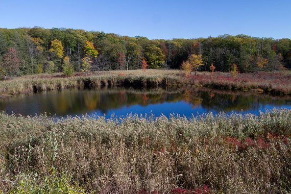 Green Pond