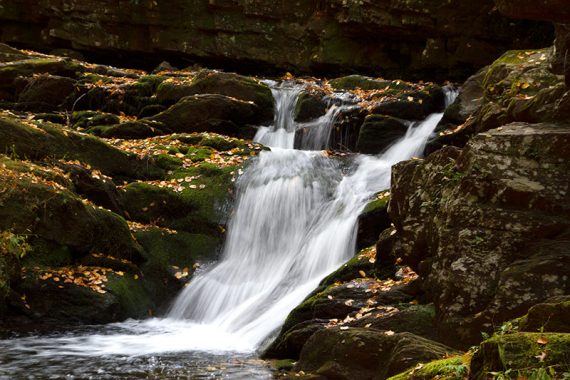 Waterfall over moss covered rocks in Van Campens Glen.