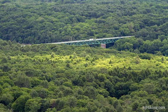 Bridge surrounded by forest.