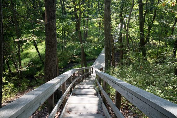 Long wooden stairs going down a hill.