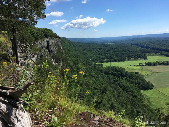 Cliff face covered in green foliage with farm land below.