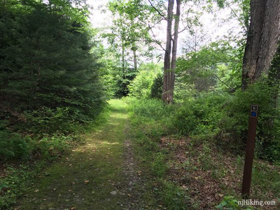 Pond Loop Trail.