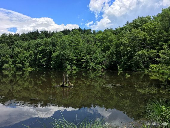 The pond at Cliff Park.