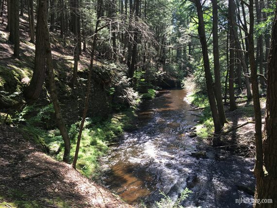 Stream with high banks on either side.