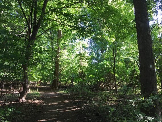 Shore Line Trail (WHITE).