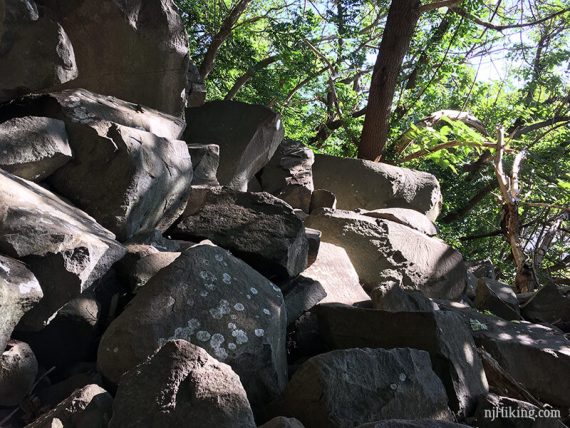Jumble of rocks on the Shore Line trail.