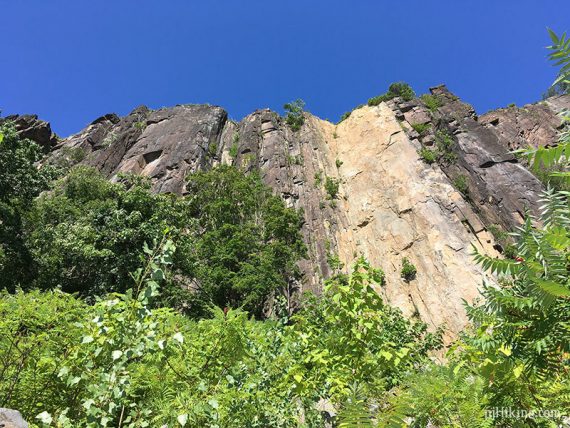 Looking up the cliffs of the Palisades