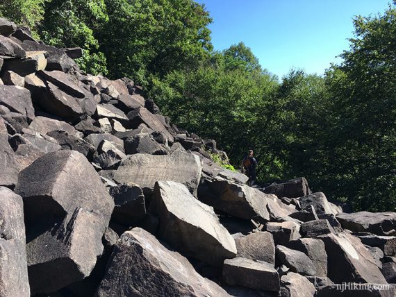 Large rocks at a steep angle on a trail.