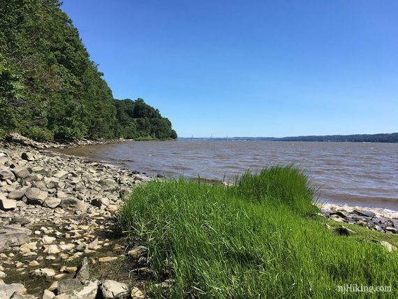 Near the swing on the Shore Line trail.