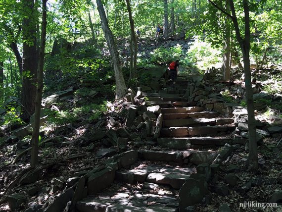 Hiker climbing a long stretch of stone stairs on the Long Path.