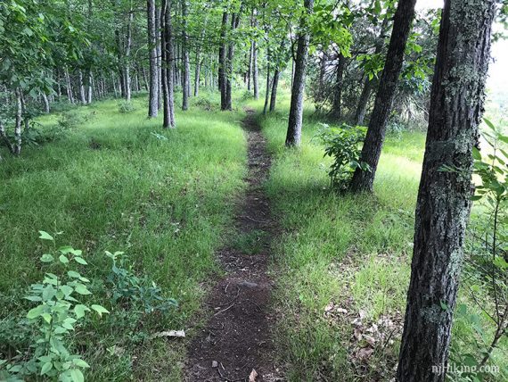 The casual trail along the cliff.