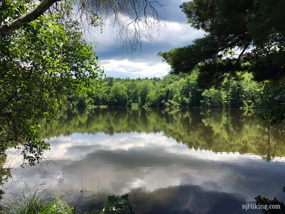 Pond surrounded by trees.