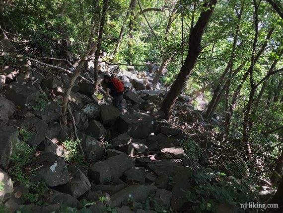 Hiker scrambling over The Giant Stairs in a forest.
