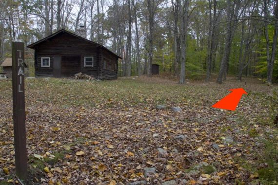 Spring Cabin.