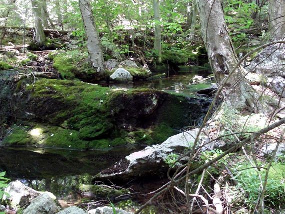 The proposed reroute of the trail is much more scenic