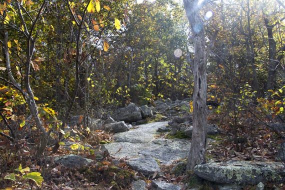 Rocky trail.