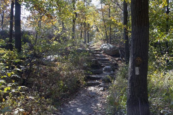 Stone steps on the Appalachian Trail near the Sunrise Mountain parking lot.