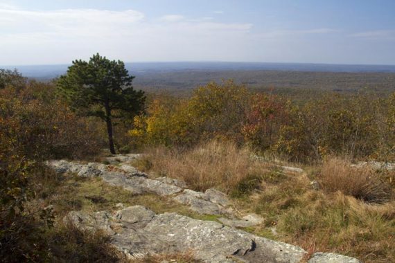 View West from the Sunrise Mountain pavillion.