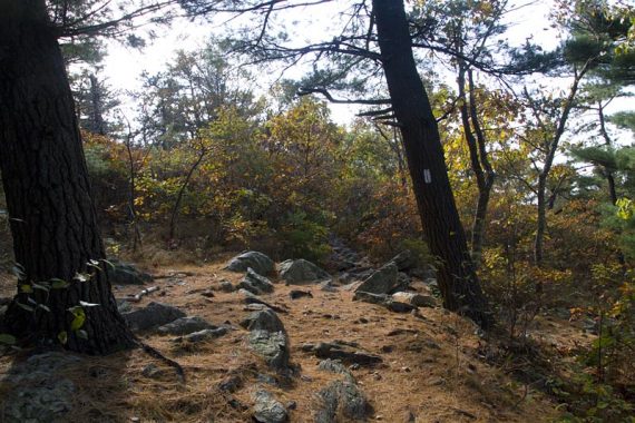 Appalachian Trail.