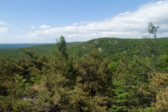 Scramble up a large rock for this view