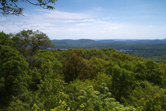 View over green trees with a lake and hills in the distance.