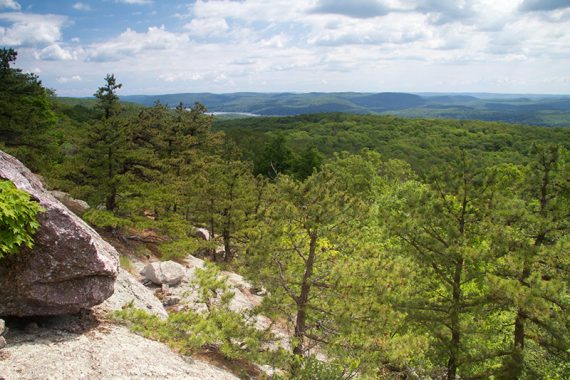 Large rock in the foreground looking over green tree tops with hills