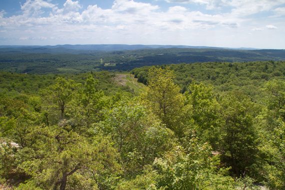 View over expansive green forest with a gap from a pipeline cut.