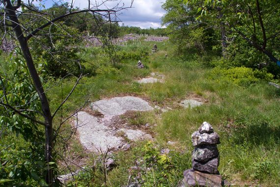 Rock cairns showing the trail route