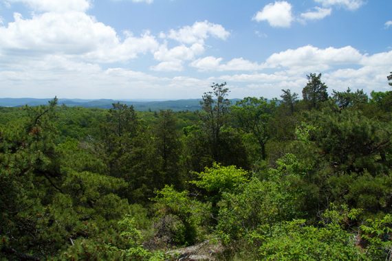View along the Bearfort Ridge trail