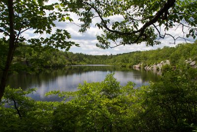 Terrace Pond seem through some trees