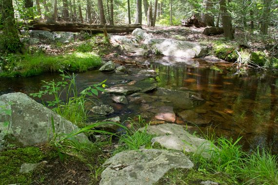 Rock hop over a stream