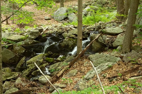 Water Cascade along a trail