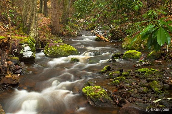 Water flowing over rocks in a stream.