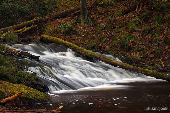 Waterfall cascading over an angled rock in Tillman Ravine.