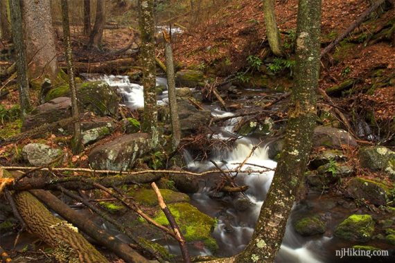 Water cascades winding through rocks.