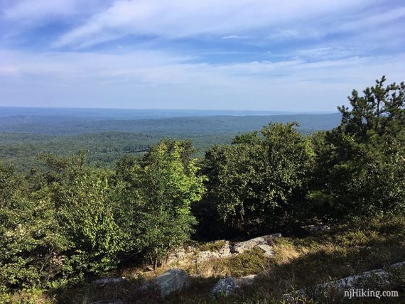 View from the picnic table